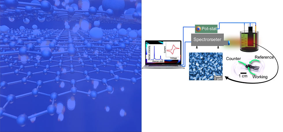 Dual Sensing v3_edited.jpg